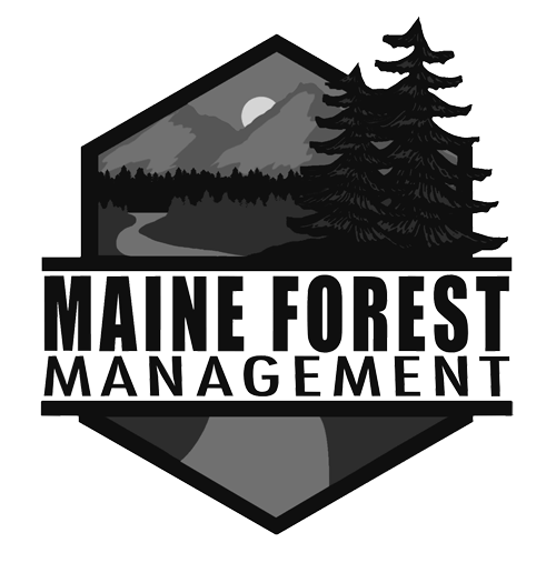 Maine Forest Management