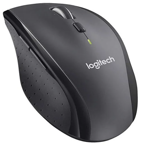 Mouse.jpg
