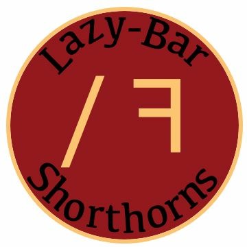 Lazy Bar F Shorthorns