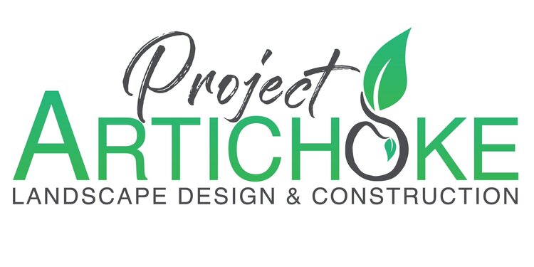 Project artichoke