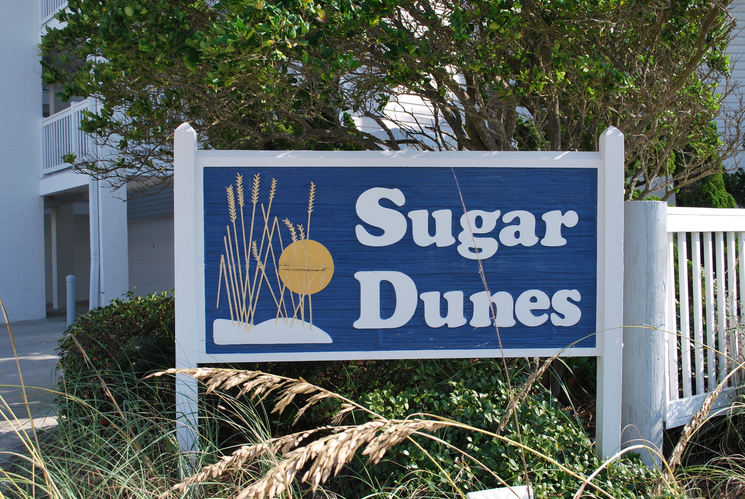 Sugar Dunes