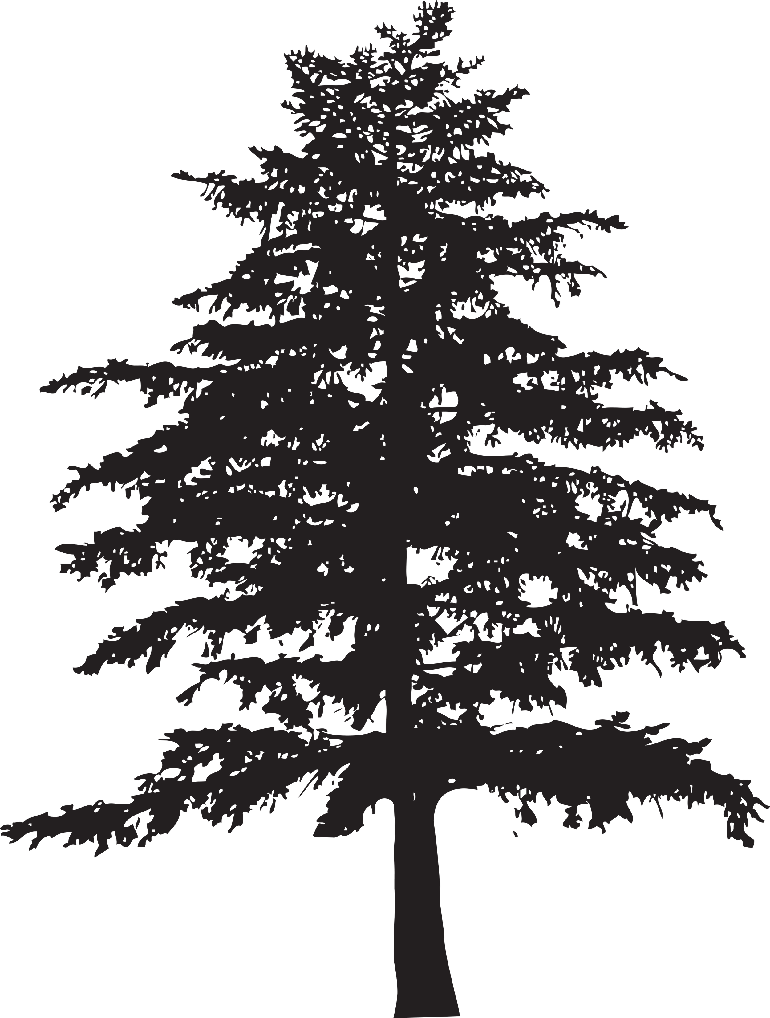 EVERGREEN ADVISORS LLC