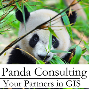 Panda Consulting