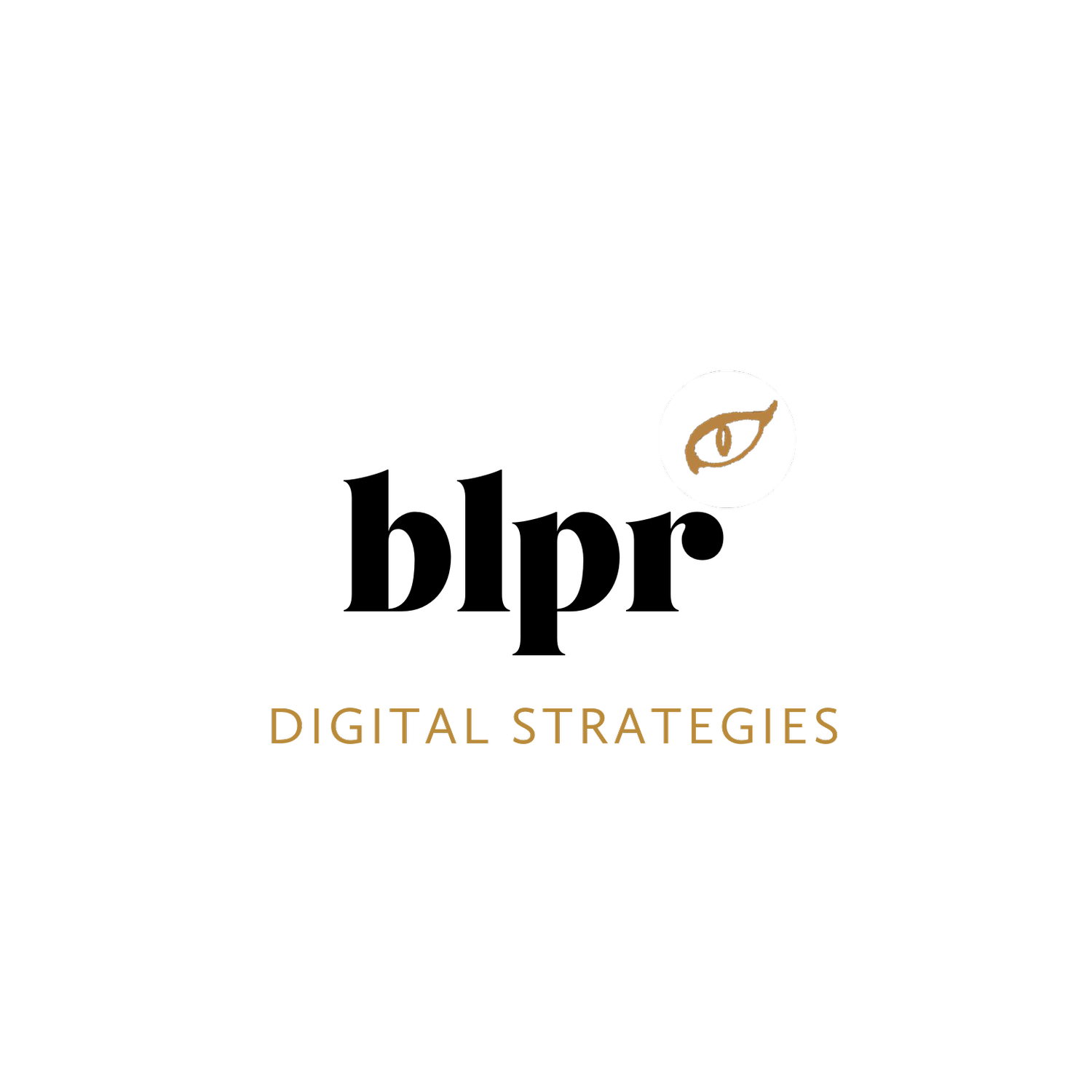 blpr digital strategies
