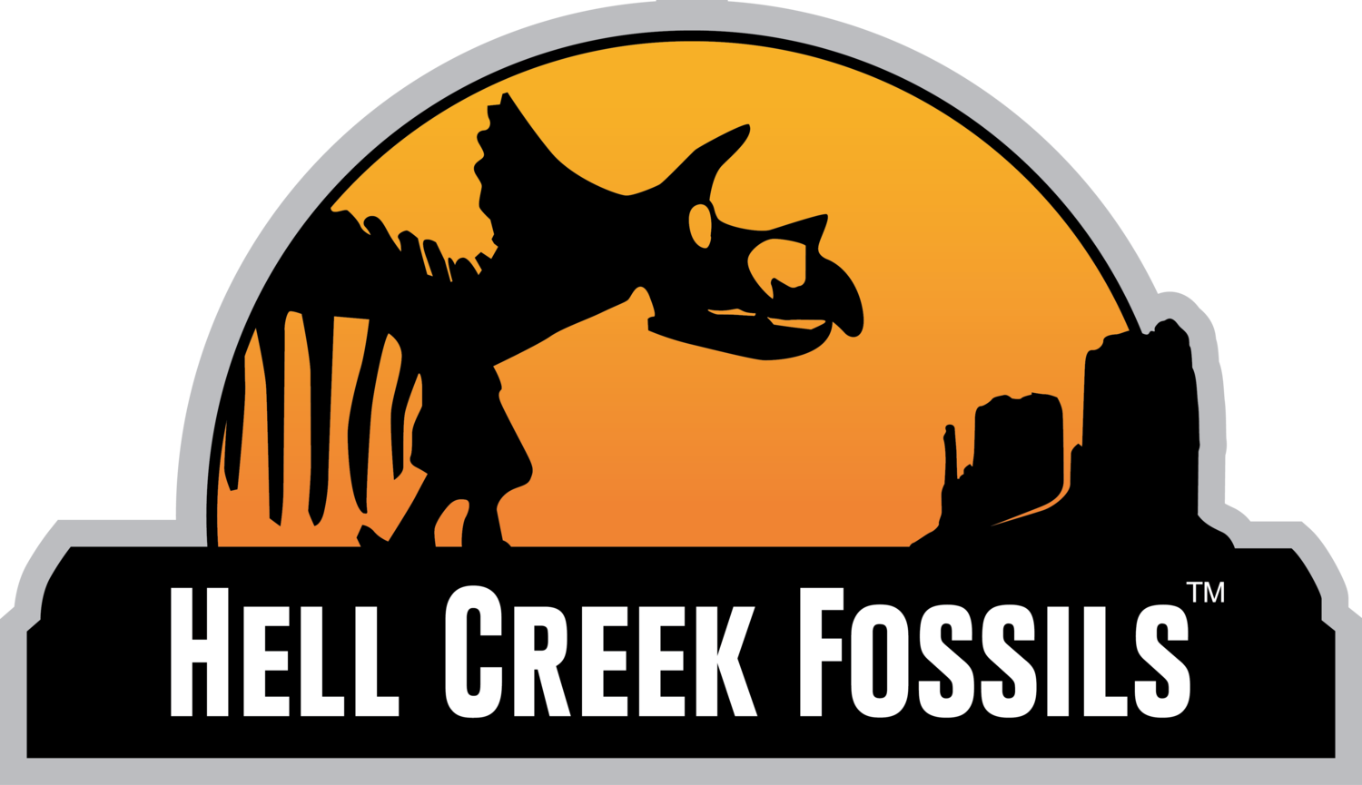 Hell Creek Fossils