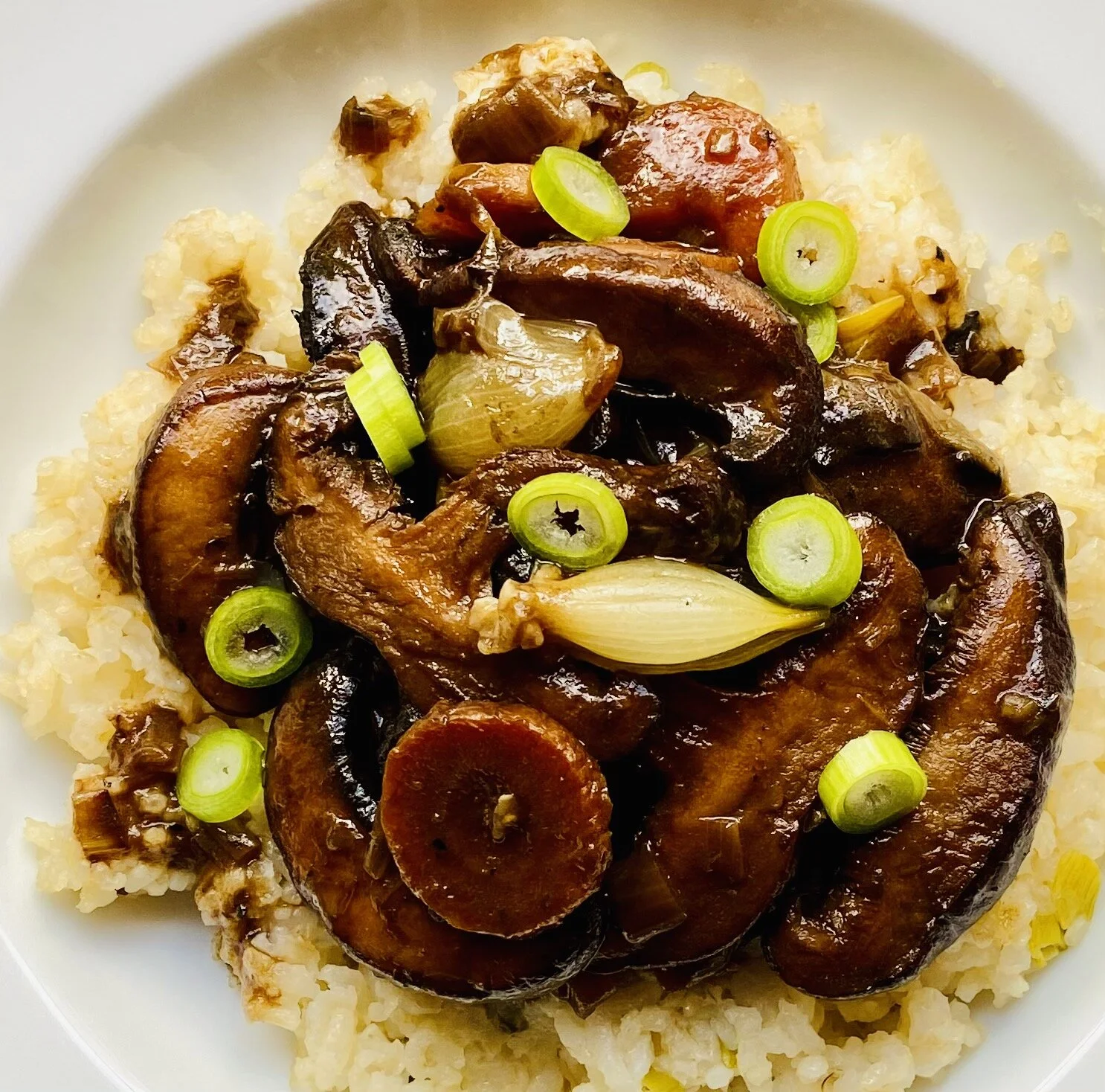 蘑菇Bourgignon.jpg