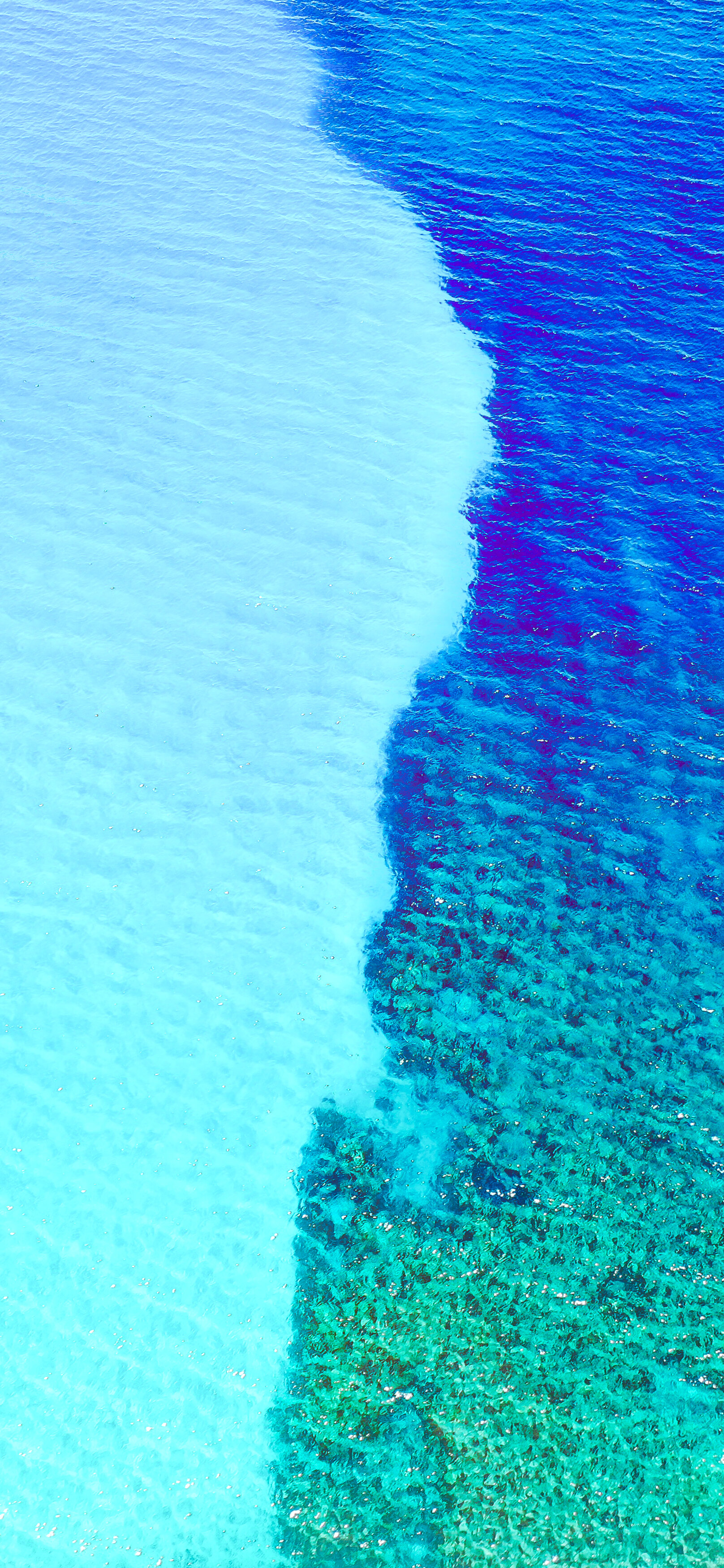 Hd Iphone Wallpaper Kauai Reef Digital Download Rp