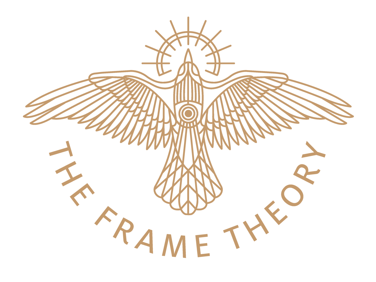 The Frame Theory