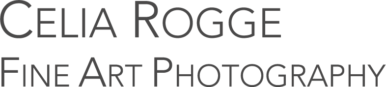 Celia Rogge Fine Arts