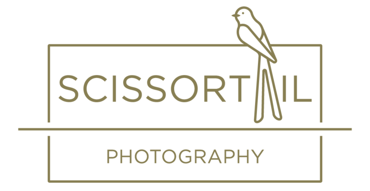 Scissortail Photography