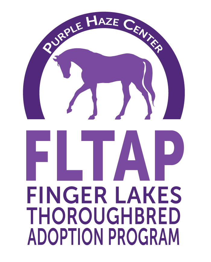 Finger Lakes Thoroughbred Adoption Program