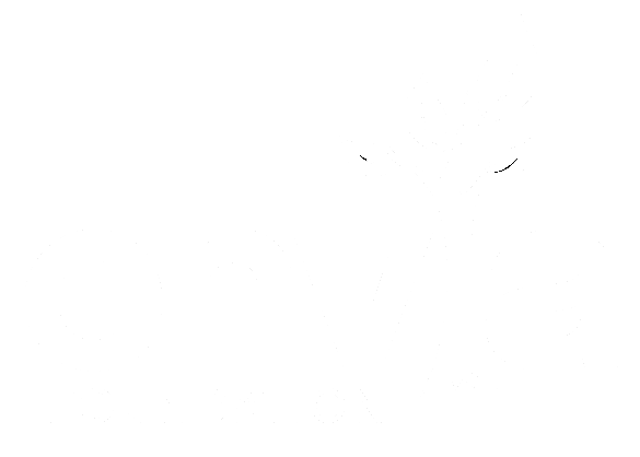 Envia Foundation