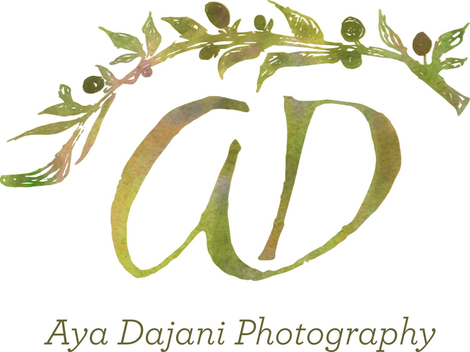 Aya Dajani Photography