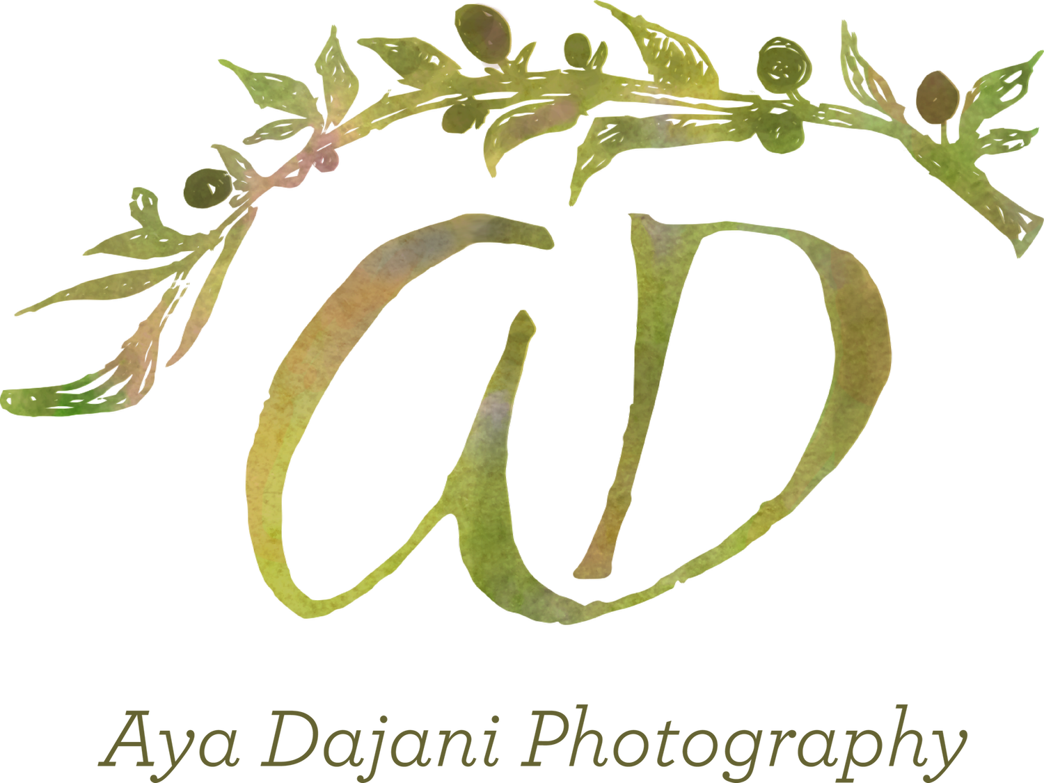 Aya Dajani Photography