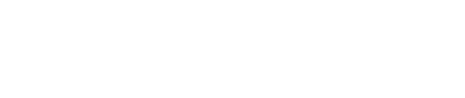 RareOne Hospitality Consulting
