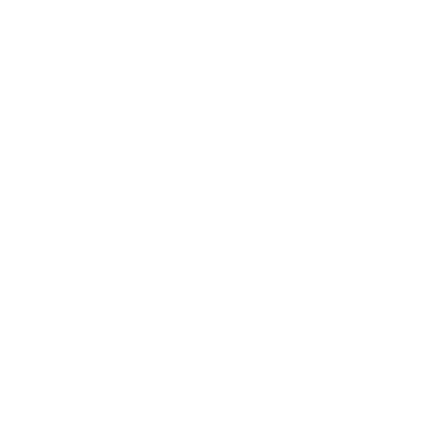 THE FAT PUG