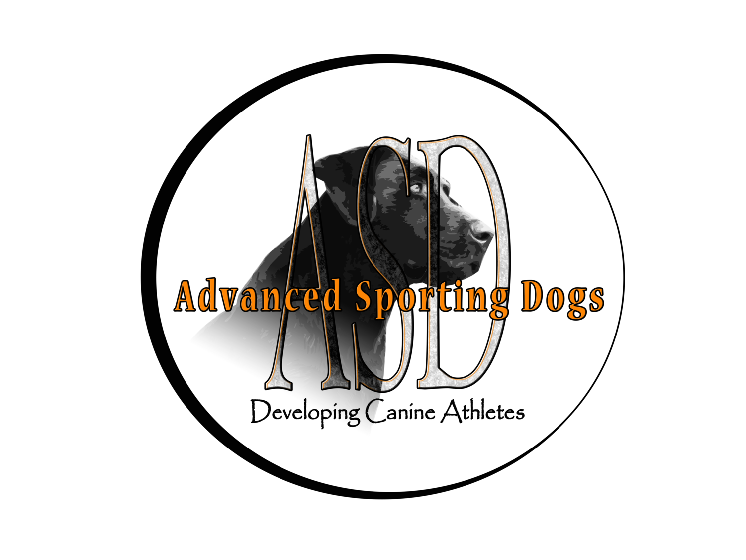 Advanced Sporting Dogs