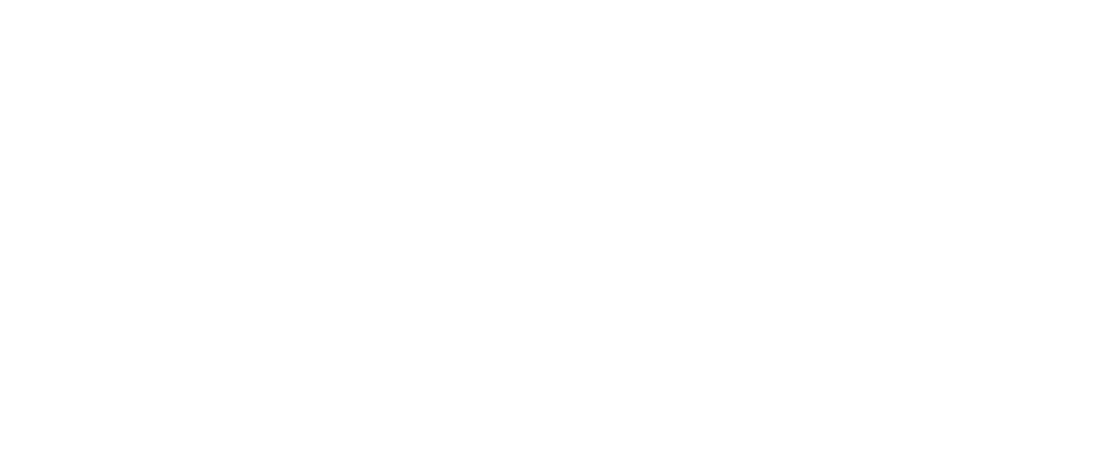 Silverfox Entertainment