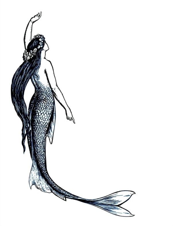 Vintage Mermaid Black And White Drawing vintage-mermaid-black-and-white-drawing