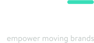 VIZZID