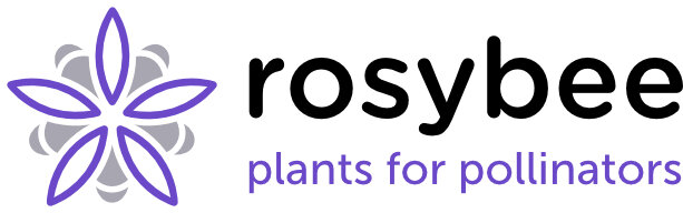 rosybee - plants for bees
