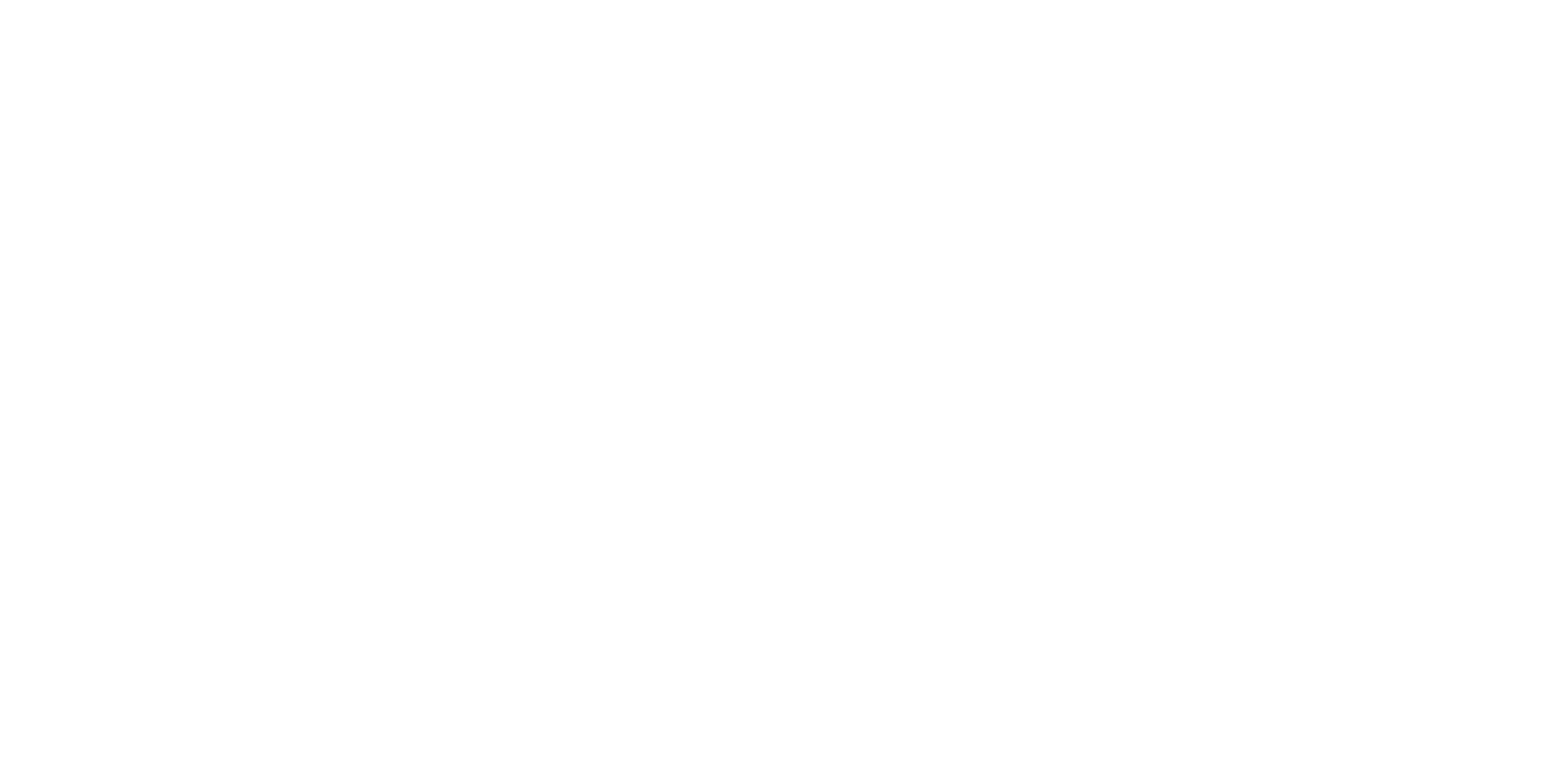 Blu Moose Photography