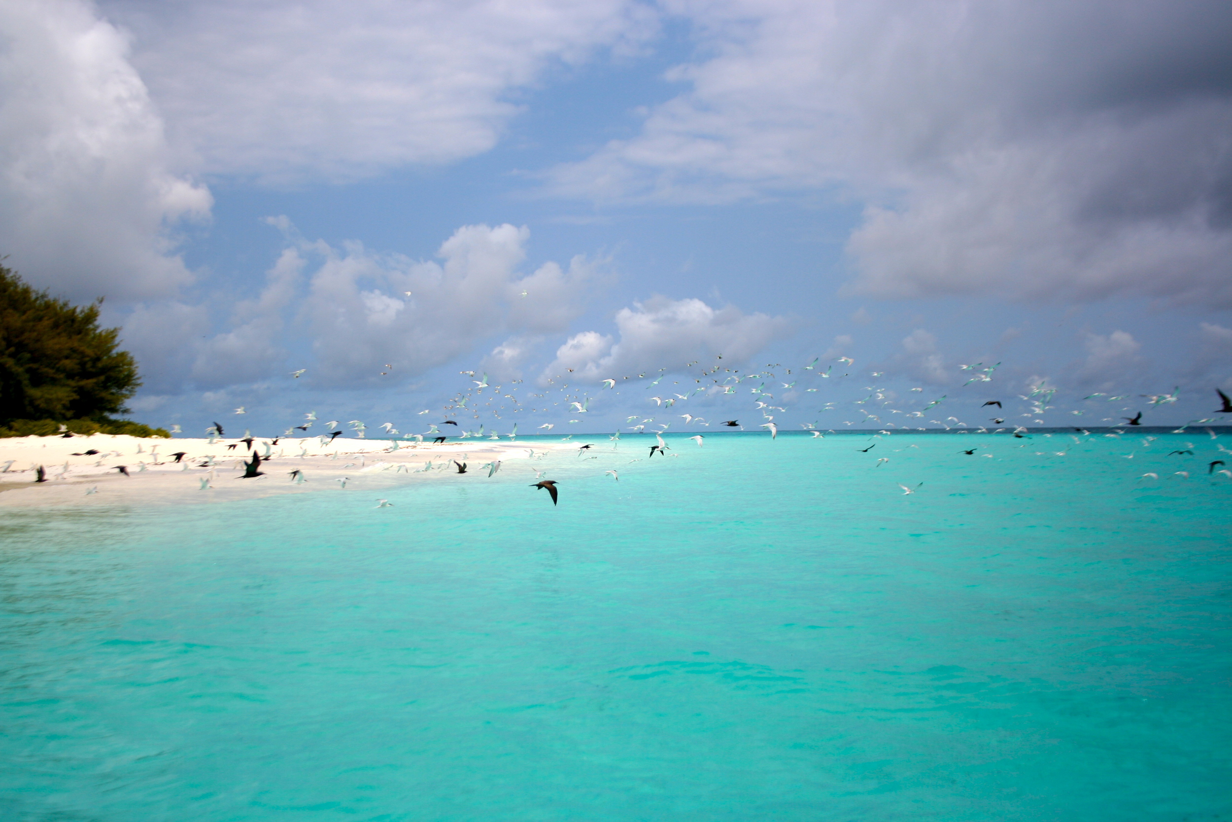 20131029_114733.jpg.