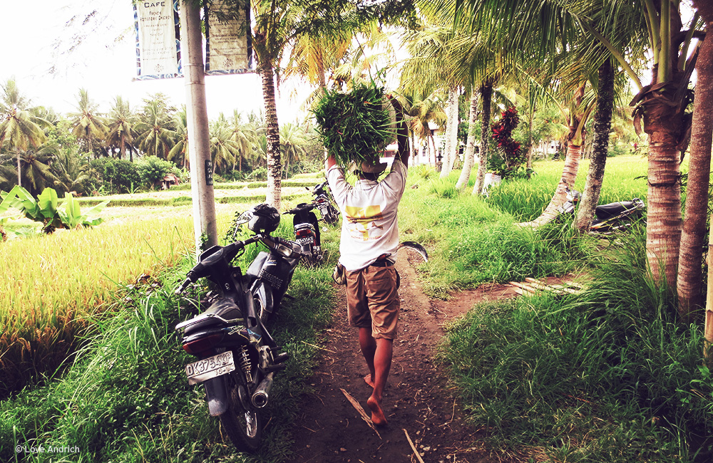 spiritedpursuit_bali2.jpg.