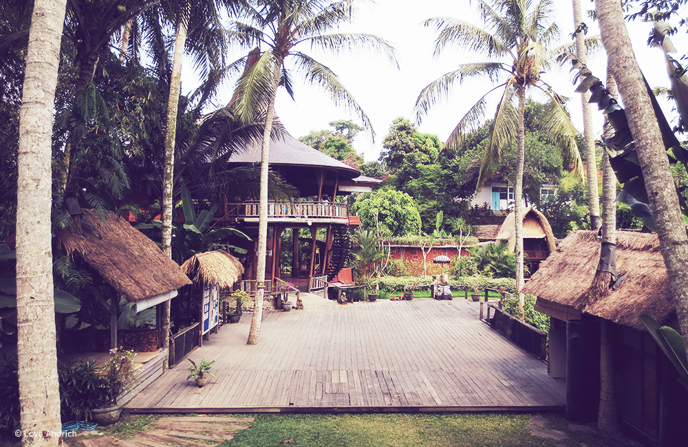 spiritedpursuit_bali4.jpg.