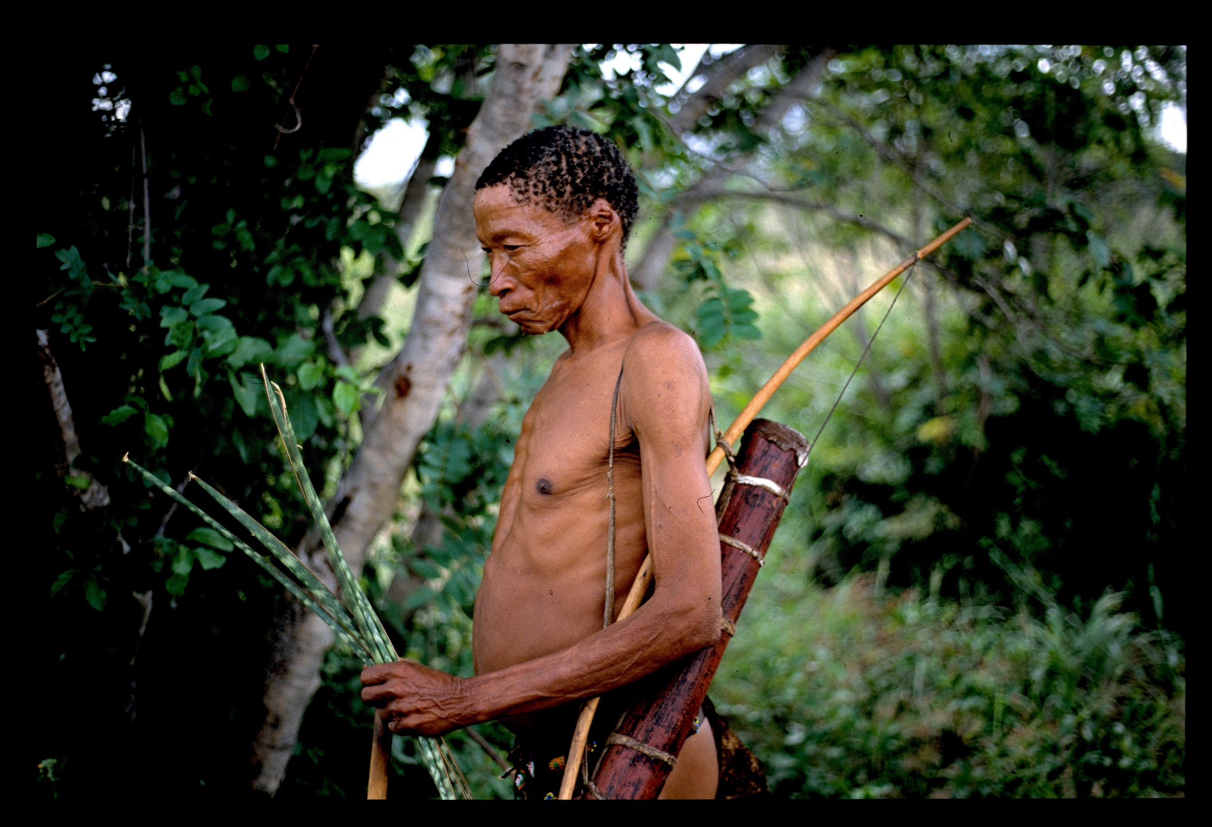 San Bushman.jpg.