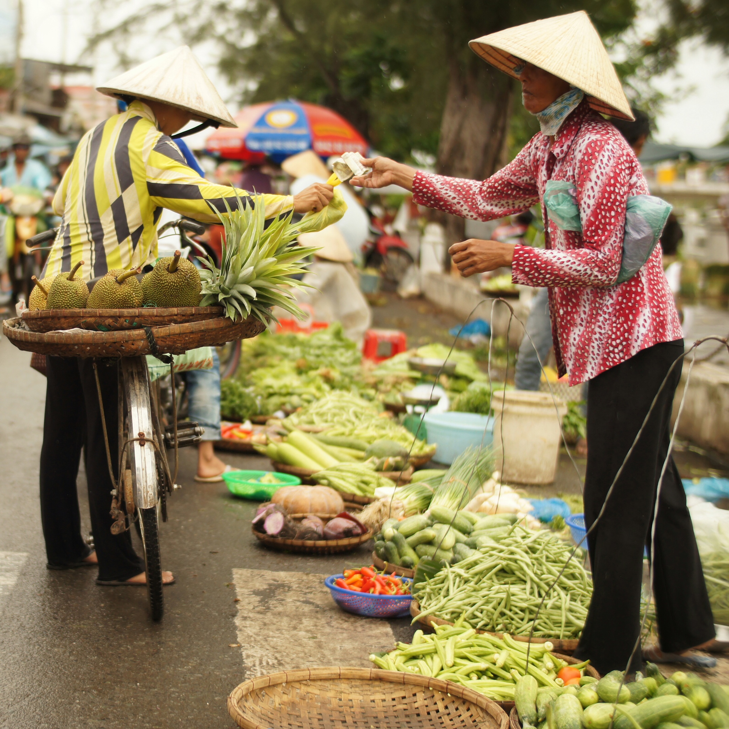 tra-vinh-vietnam-5.jpg