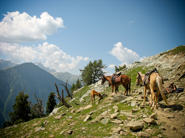 himalayas-4671.jpg