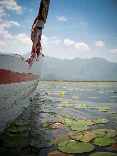 water-tour-5341.jpg