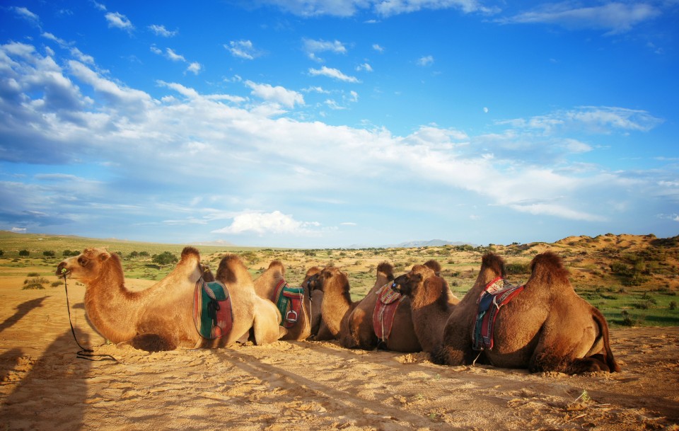 semi-gobi-mongolia-6-960x609.jpg
