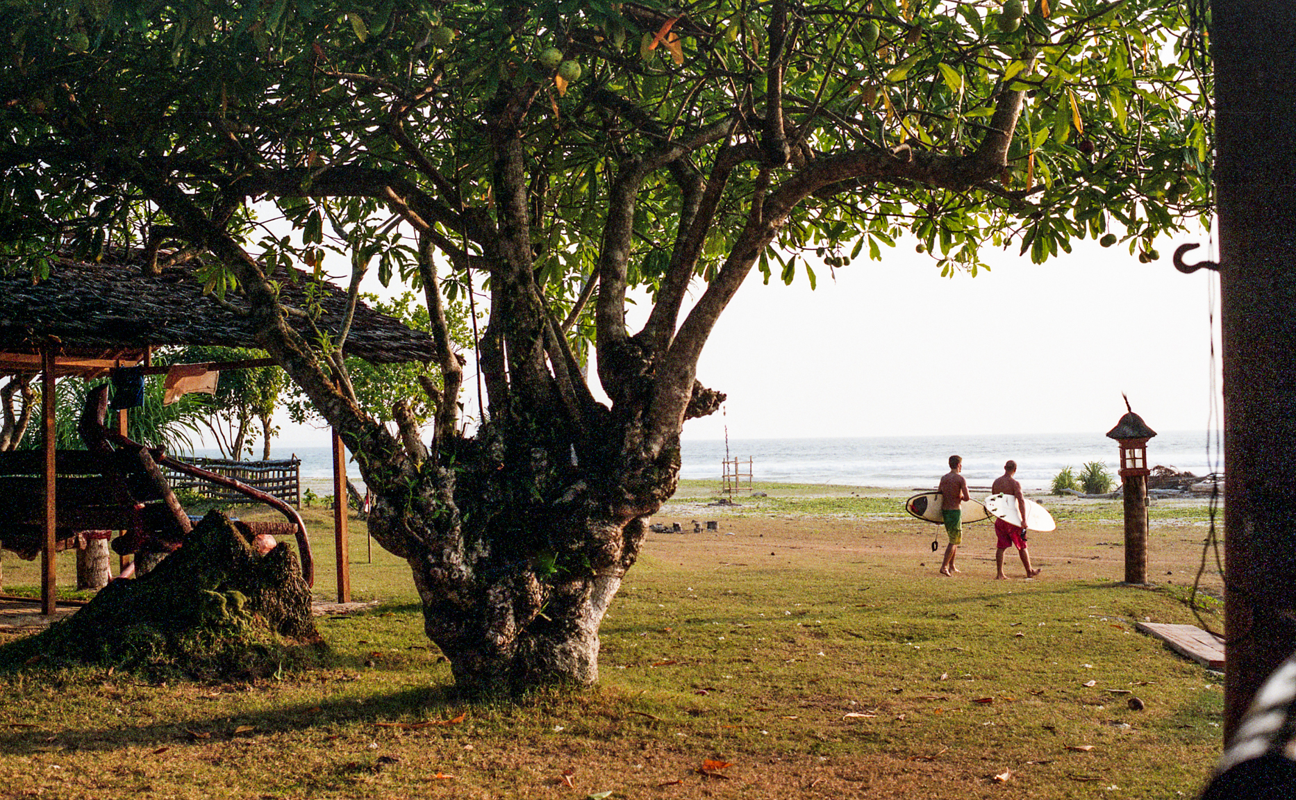 Indo_037(1).jpg