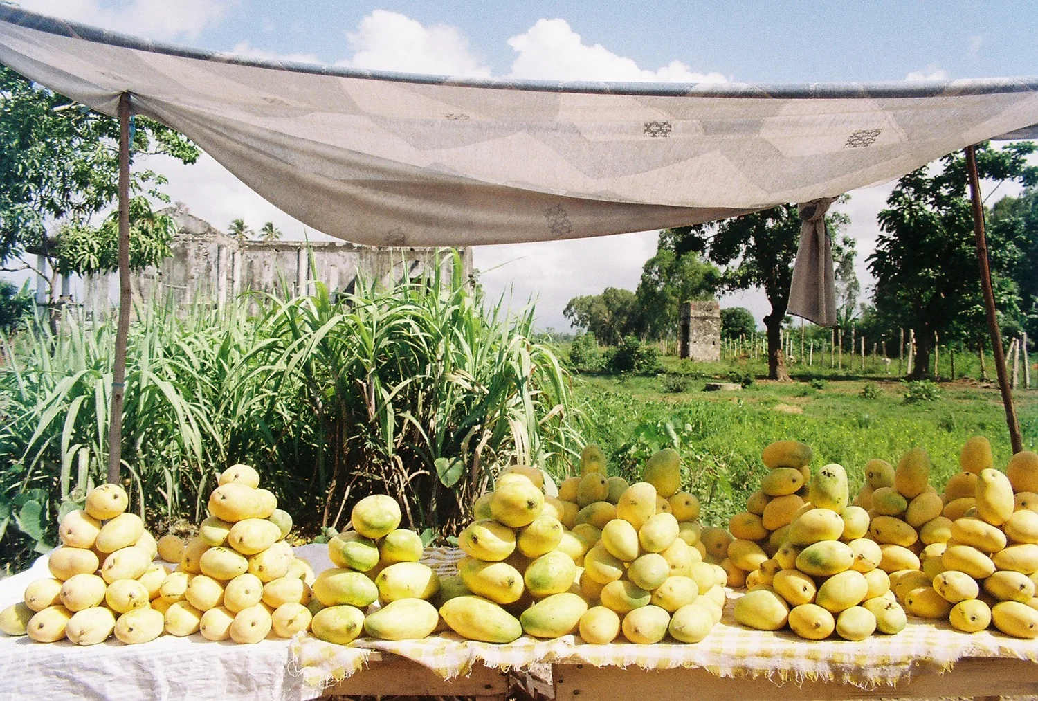 spiritedpursuit_haiti_6.jpg.