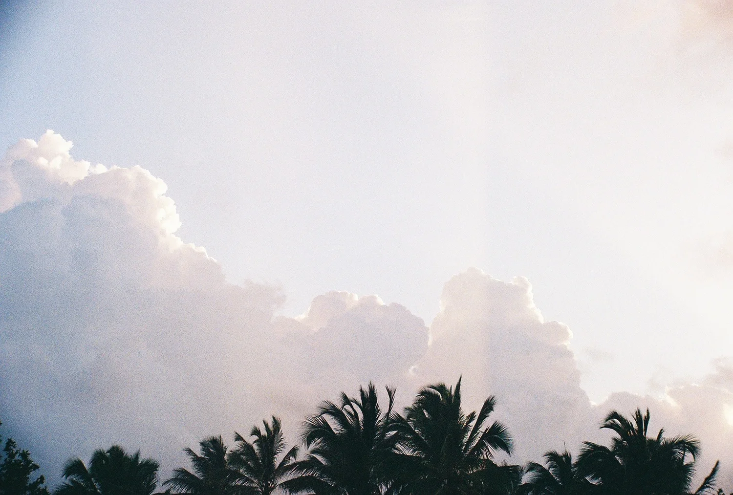 0546057-R8-016-6A.jpg.