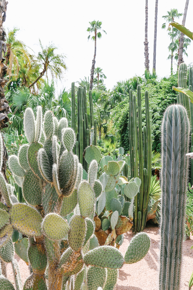 leelitumbe_jardin_marjorelle_marrakech_spiritedpursuit-12.jpg