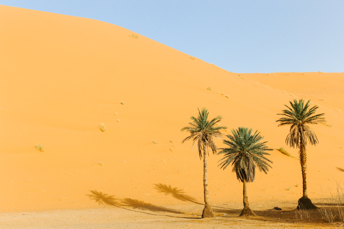 Spiritedpursuit_leelitumbe_morocco_saharadesert-7.jpg