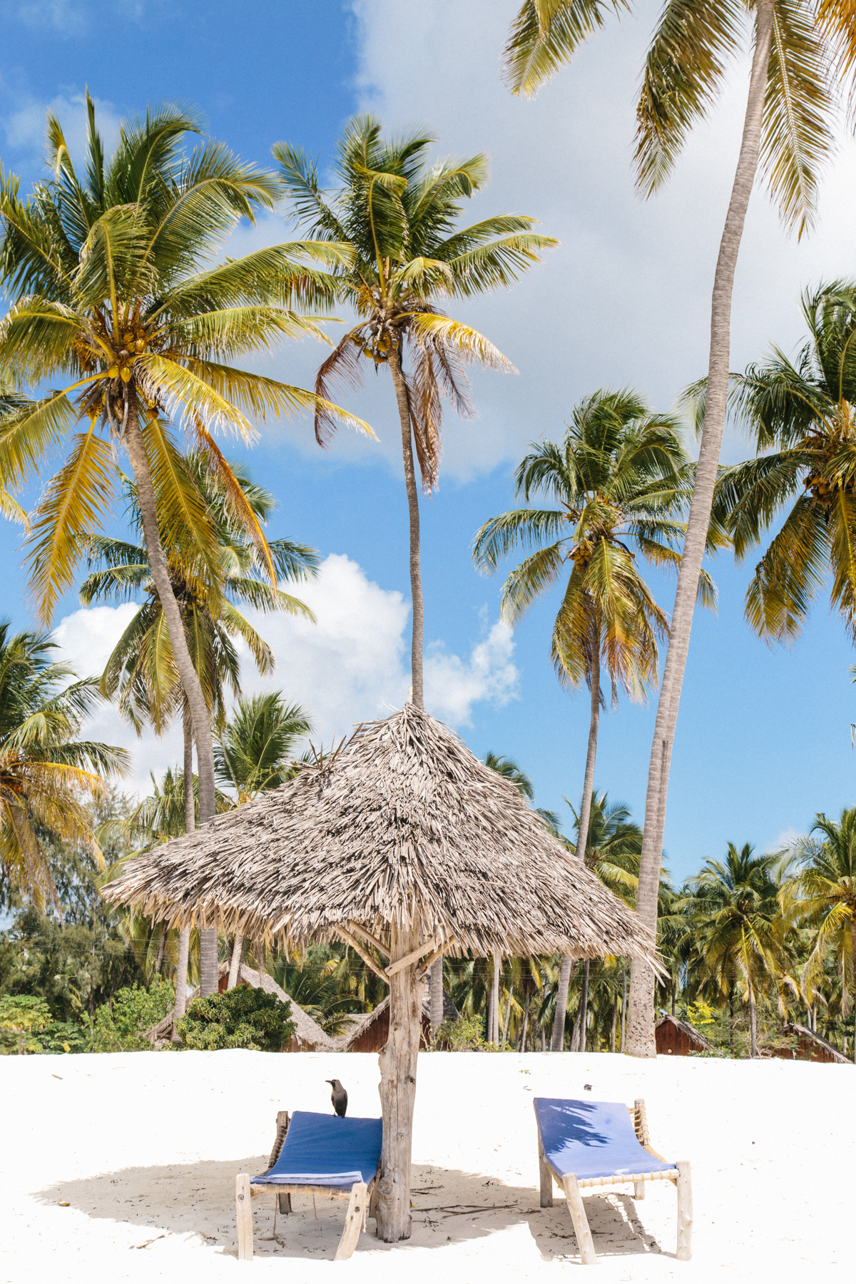 Spiritedpursuit_zanzibar_leelitumbe_summersalt_tanzania-22-3.jpg