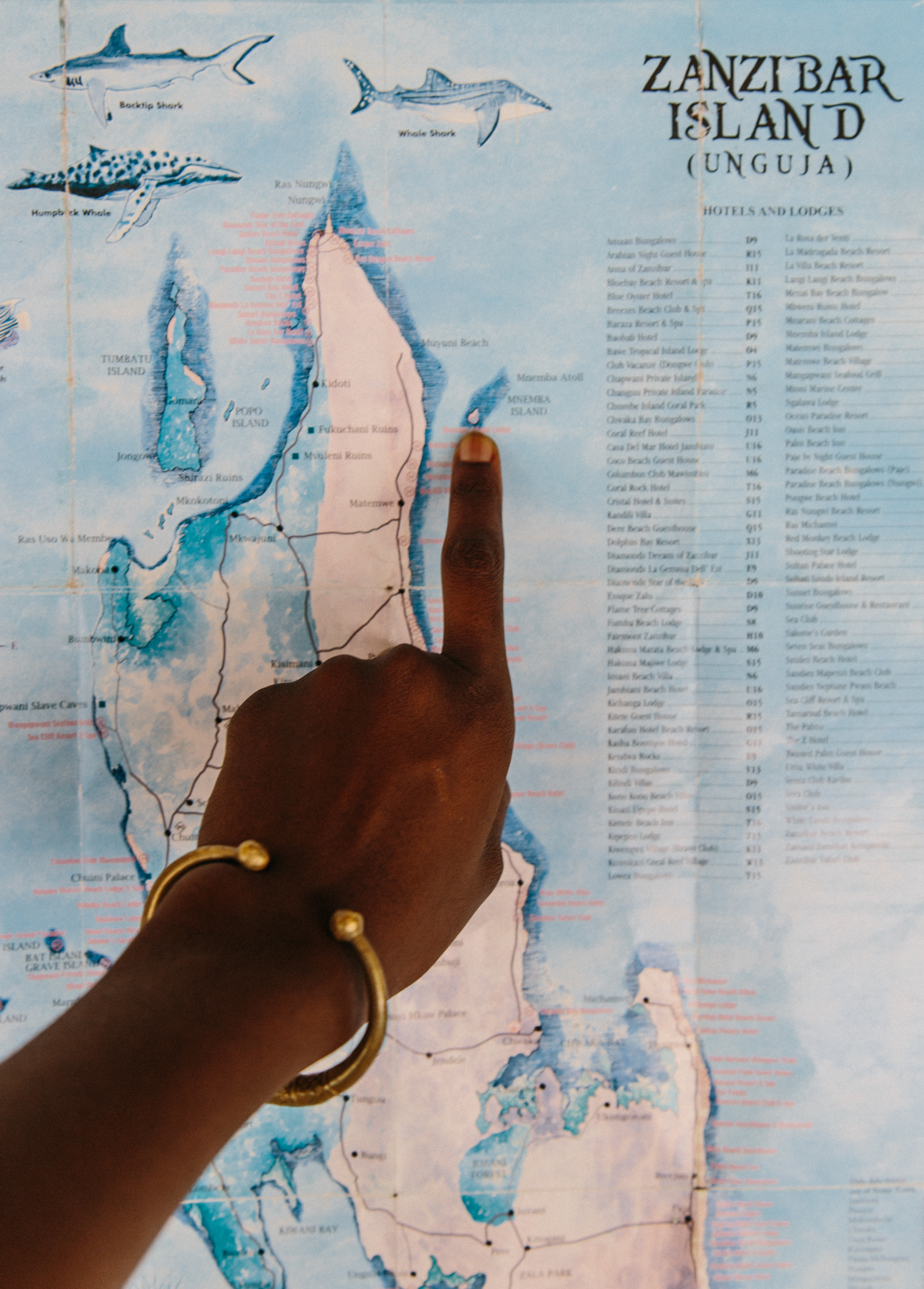 Spiritedpursuit_zanzibar_leelitumbe_summersalt_tanzania-10-5.jpg