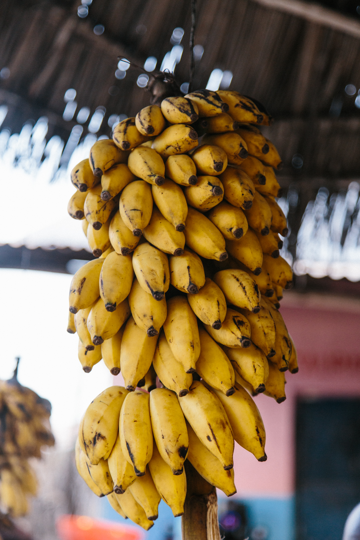 Spiritedpursuit_zanzibar_leelitumbe_summersalt_tanzania-14-3.jpg
