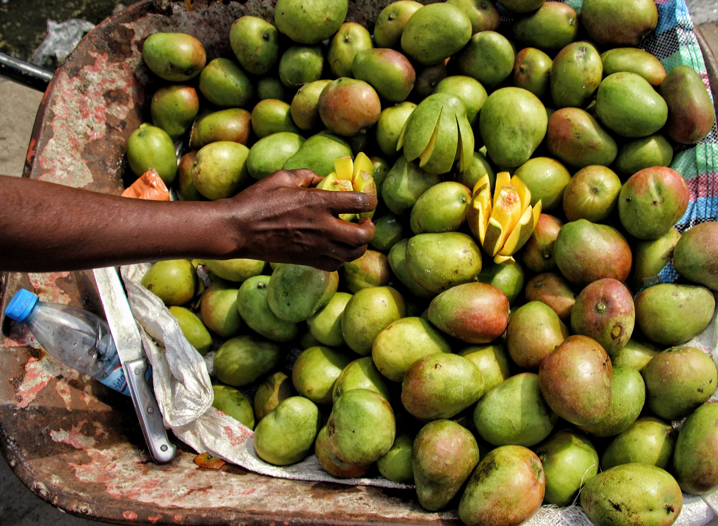 mangoes.jpeg.