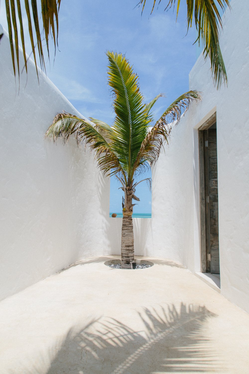 Spiritedpursuit_leelitumbe_mozambique-197.jpg