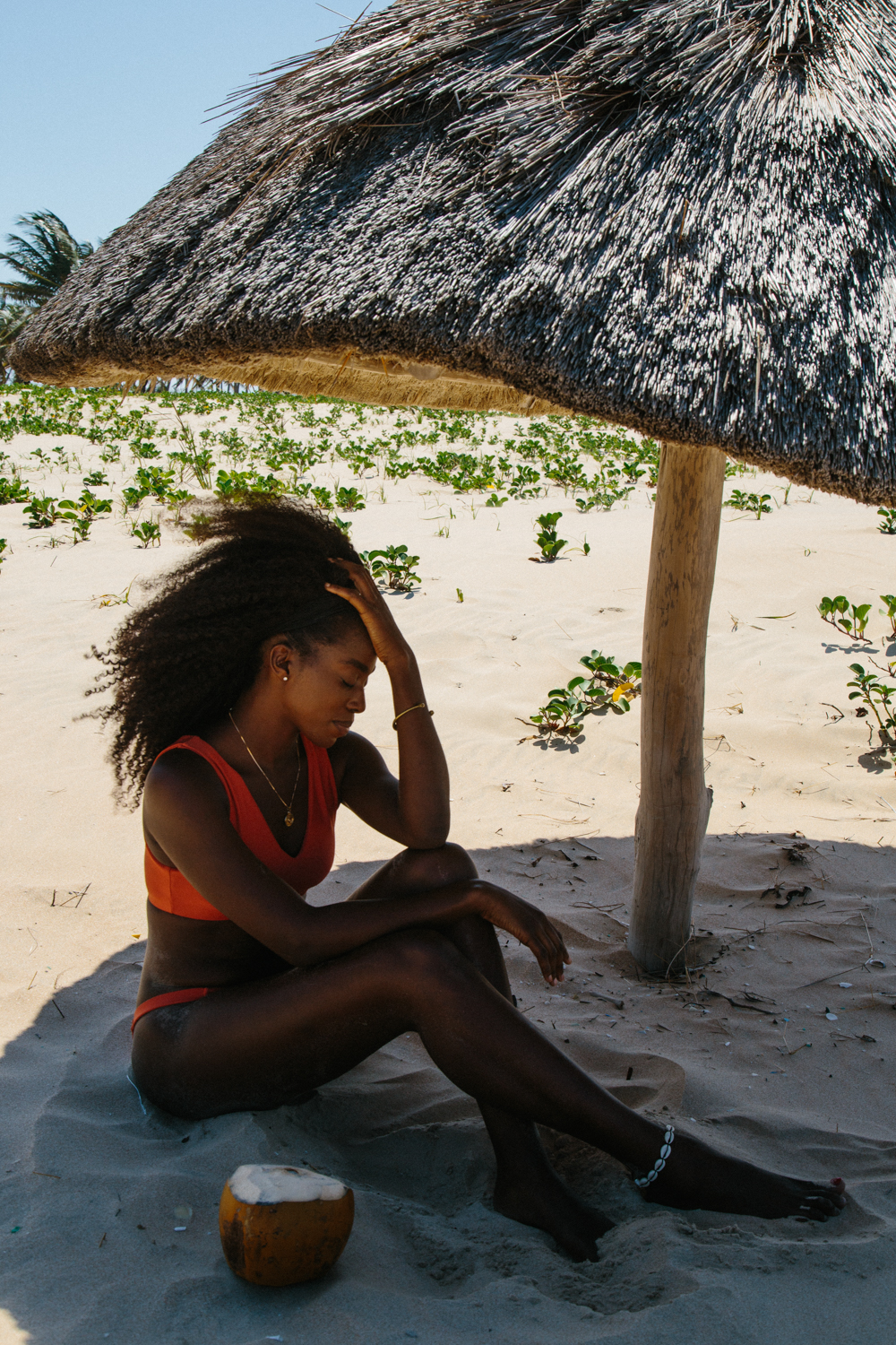 Spiritedpursuit_leelitumbe_mozambique-256.jpg