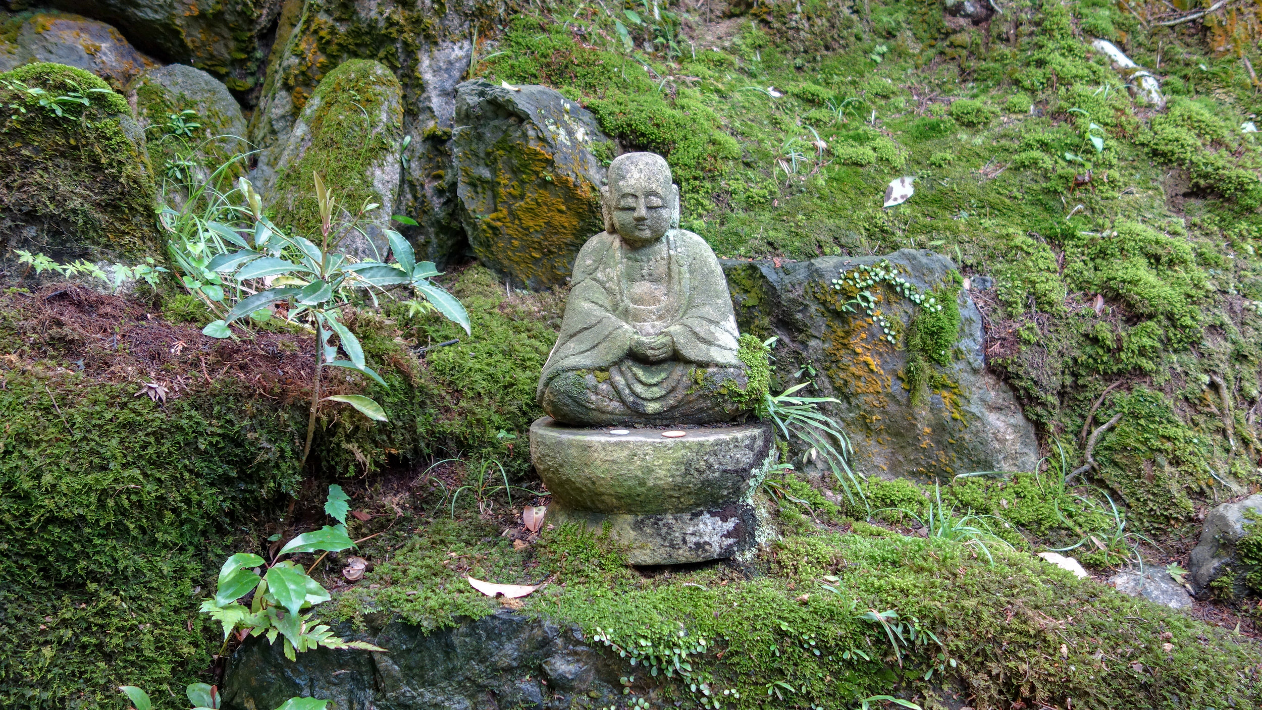 jojakko-ji.jpg.