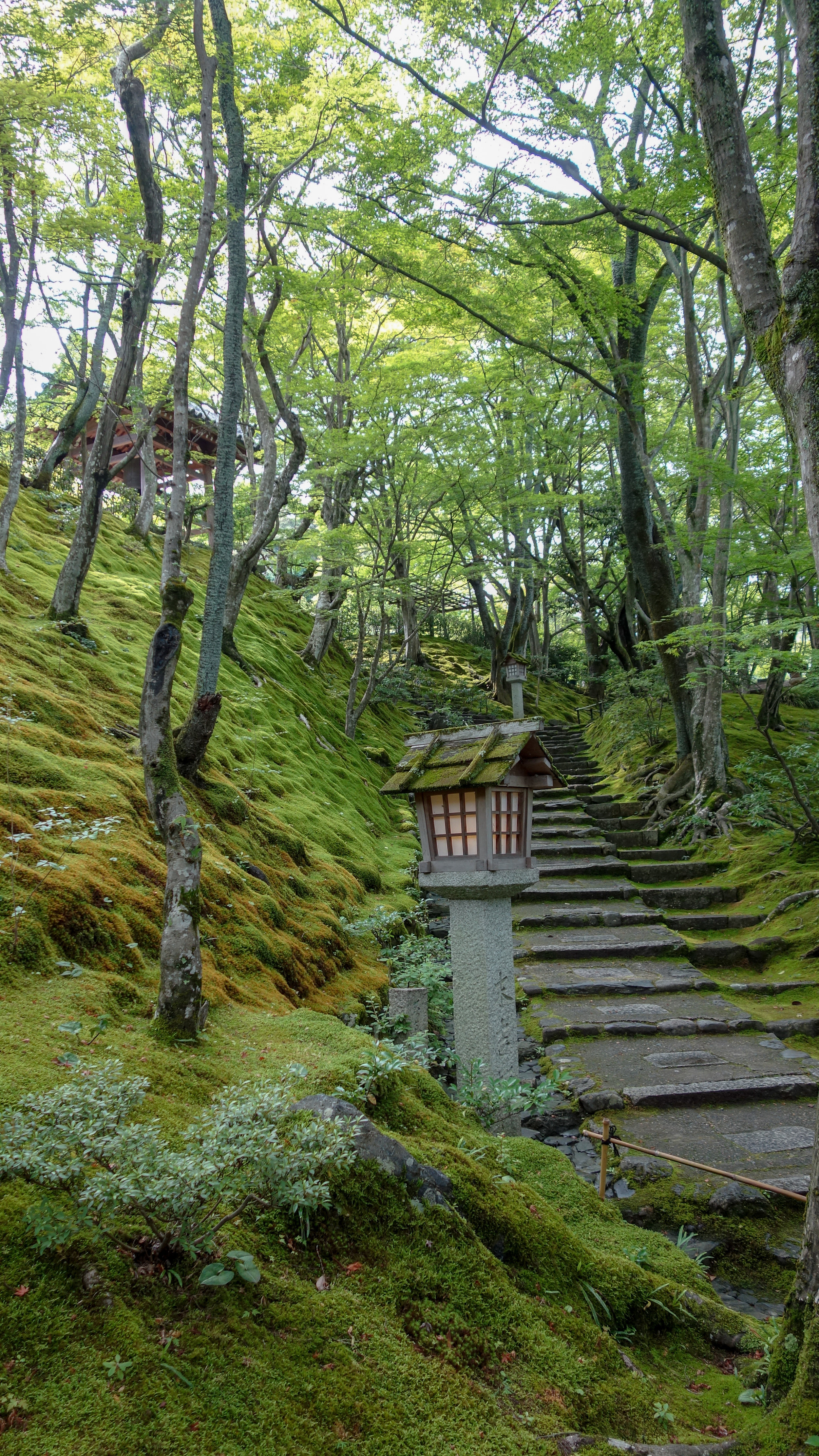 jojakko-ji-kyoto.jpg