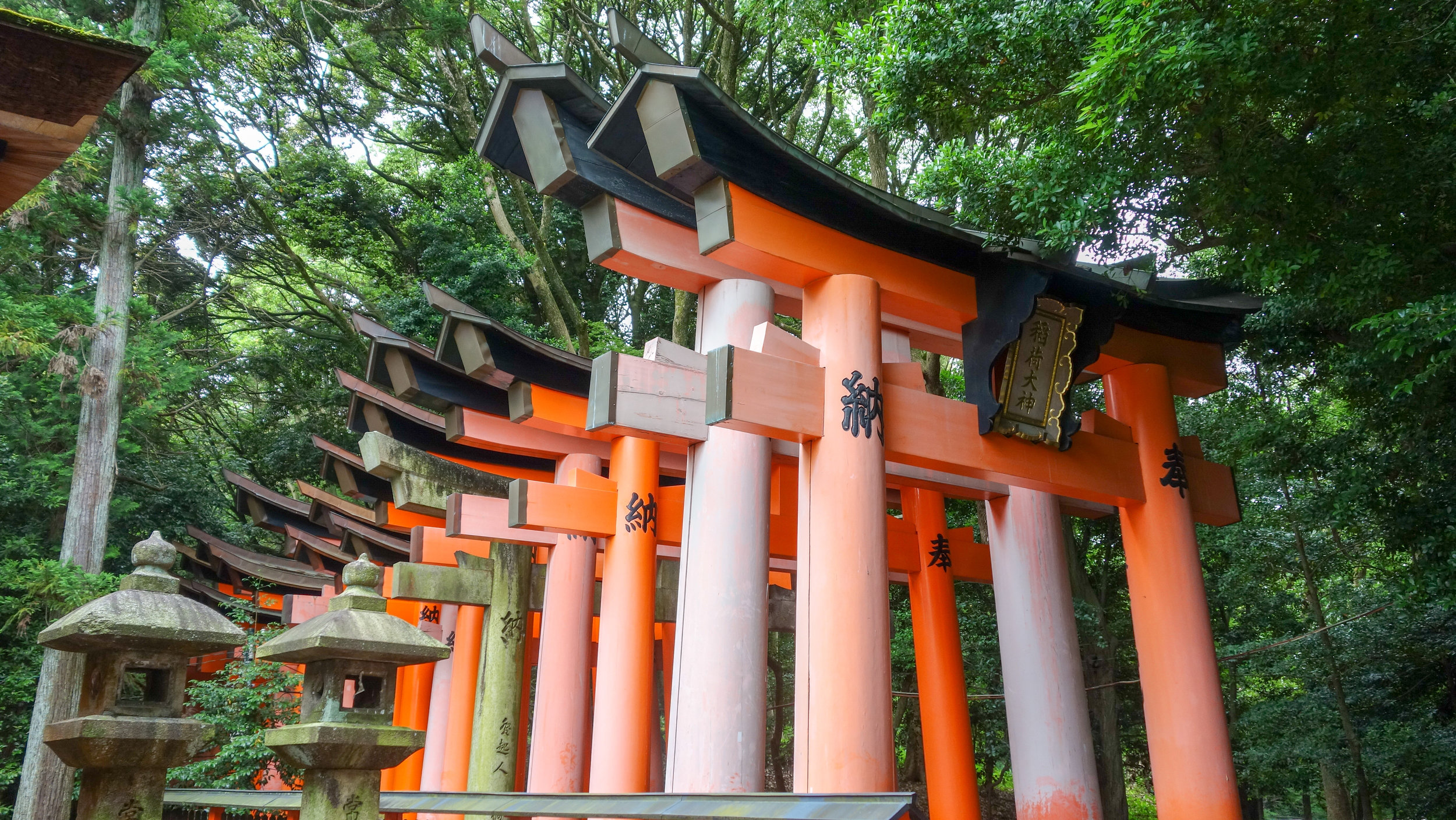 fushimi-inari-torri-gates.jpg