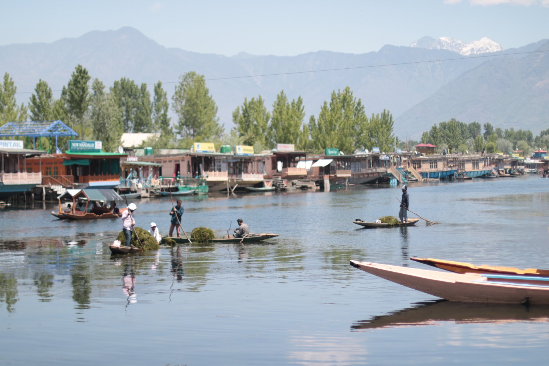 lake.jpg