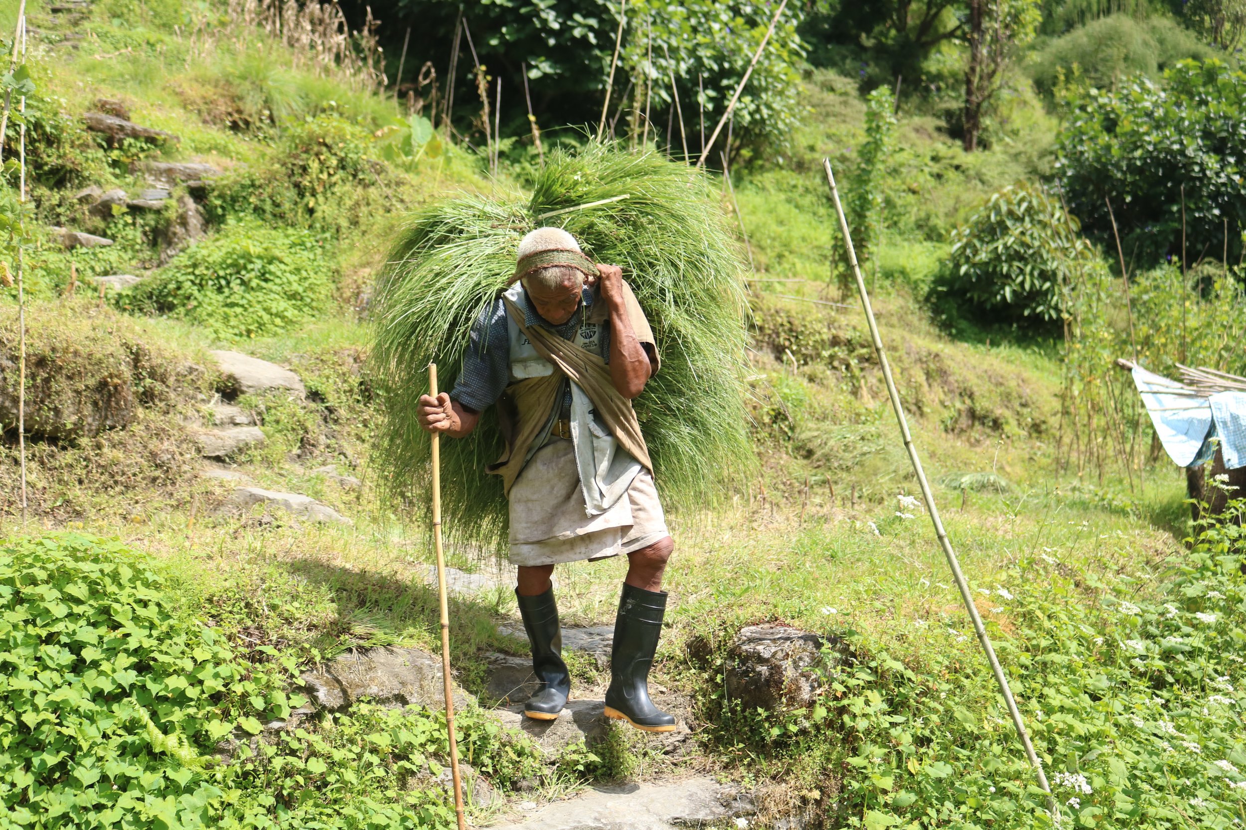 男子携带grass.jpg